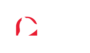 Carson Beck Voiceover Taco Bell Logo